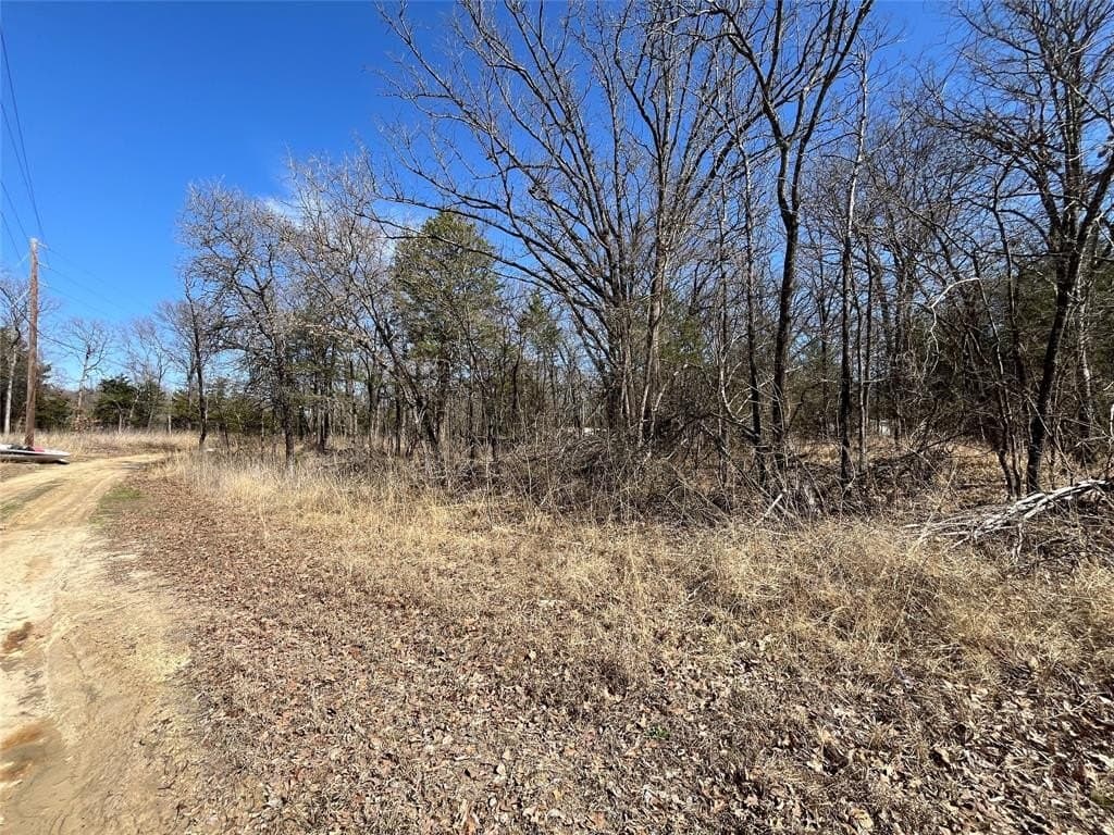 0.49 acres in Hunt County - photo 4