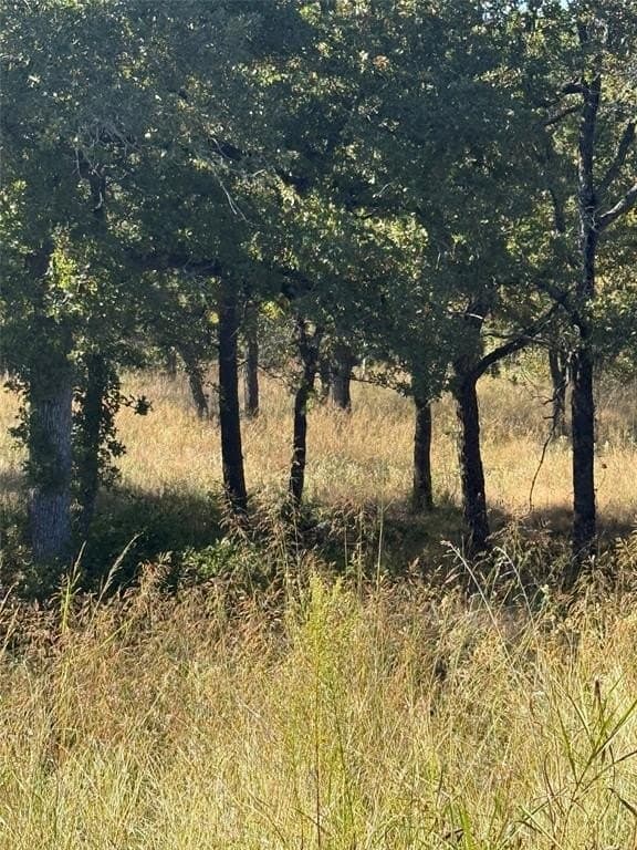 1 acres in Wise County - photo 2
