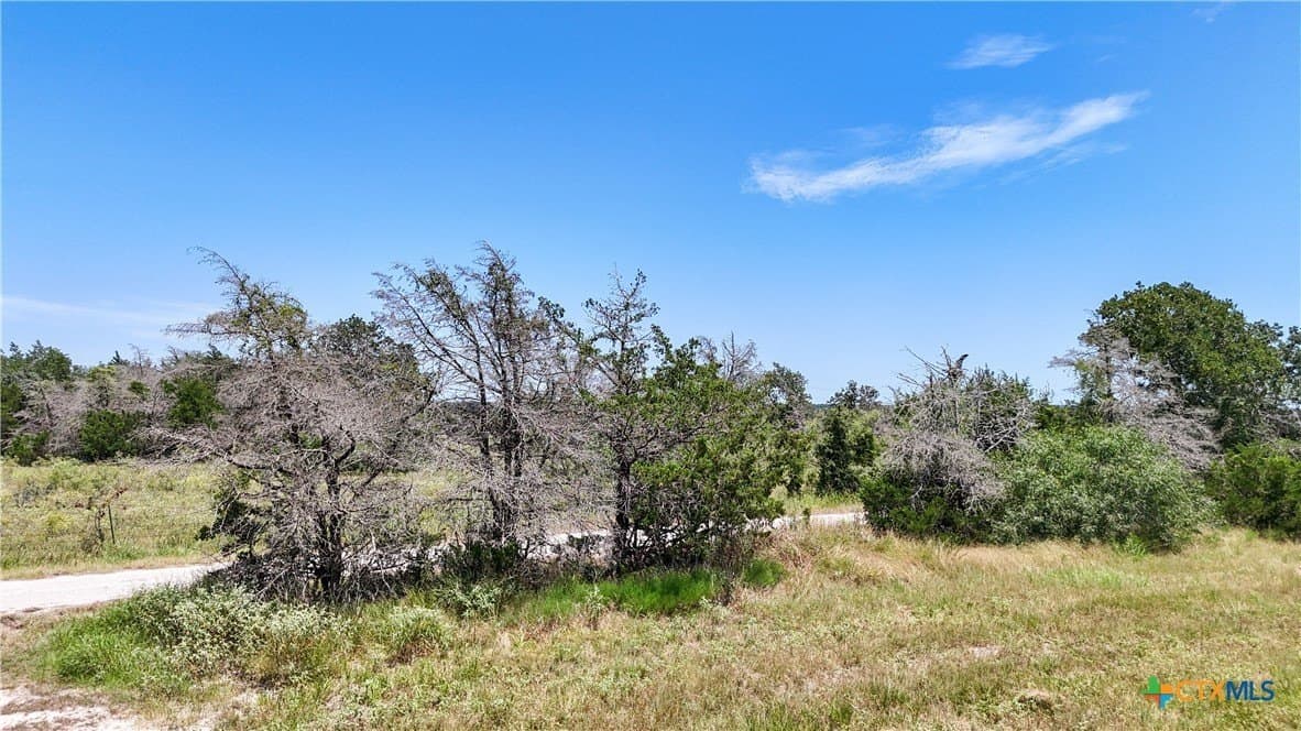 1.33 acres in Bastrop County - photo 13