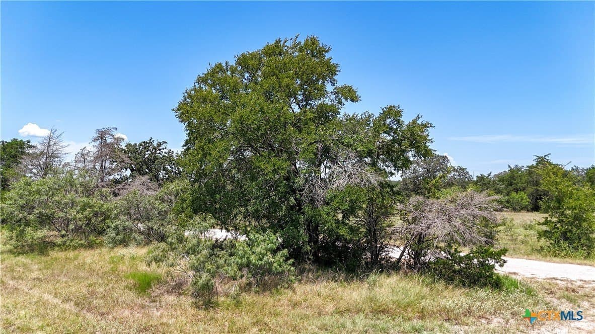 1.33 acres in Bastrop County - photo 11