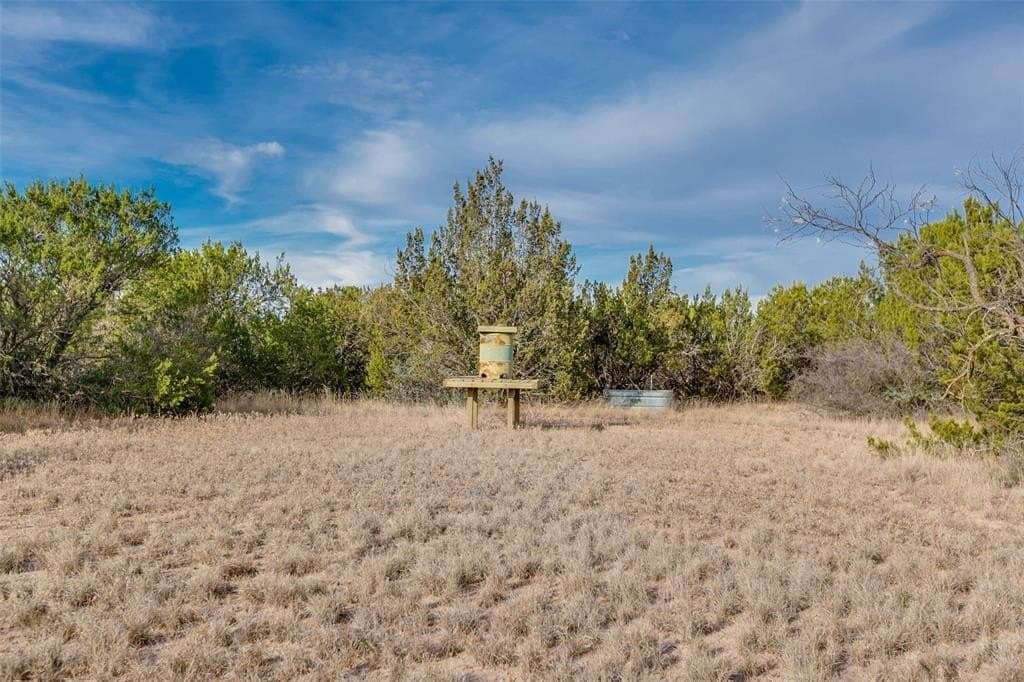 140 acres in Coke County - photo 33