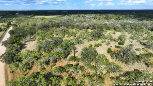 33.76 acres in Gonzales County - photo 42