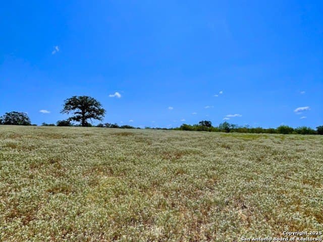 33.76 acres in Gonzales County - photo 2