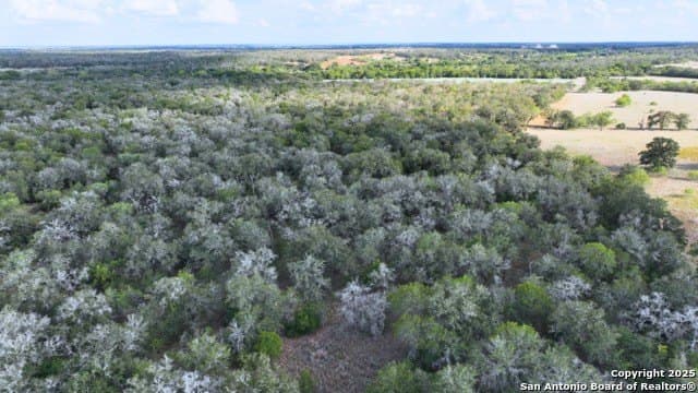 33.76 acres in Gonzales County - photo 25