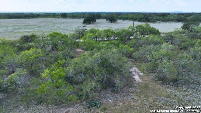 33.76 acres in Gonzales County - photo 16