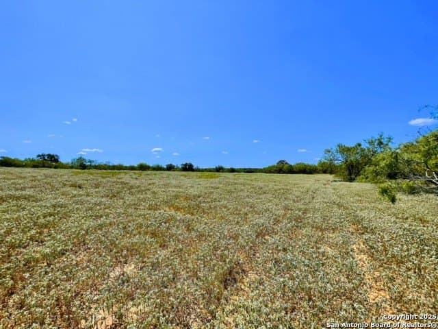 33.76 acres in Gonzales County - photo 12