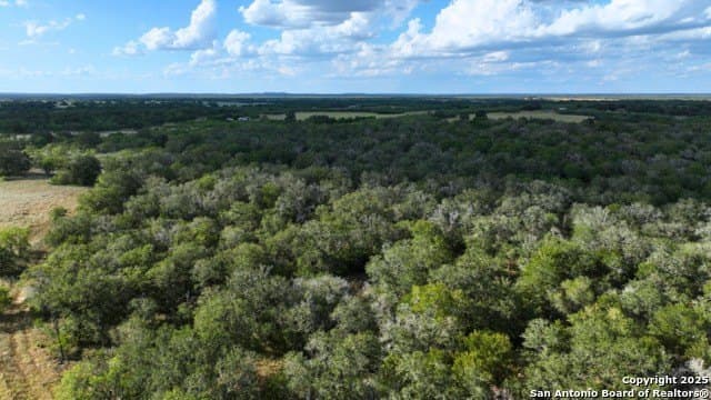33.76 acres in Gonzales County - photo 27