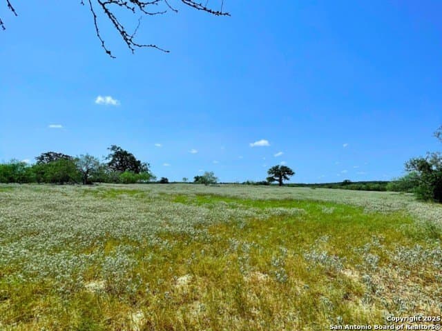 33.76 acres in Gonzales County - photo 5