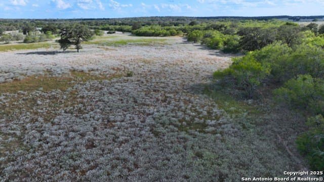 33.76 acres in Gonzales County - photo 19