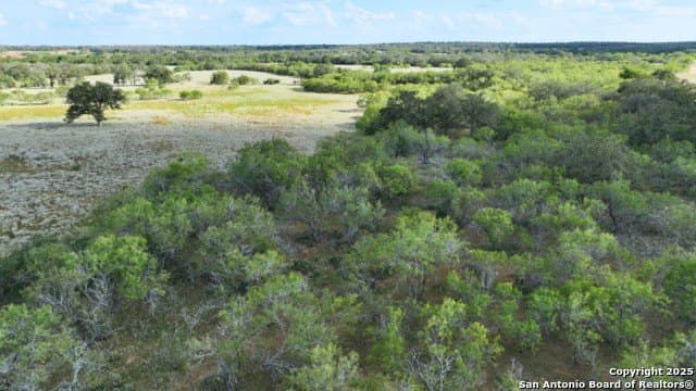 33.76 acres in Gonzales County - photo 15