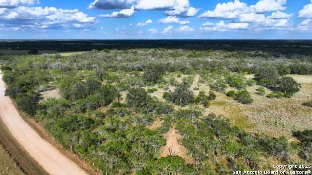 33.76 acres in Gonzales County - photo 40