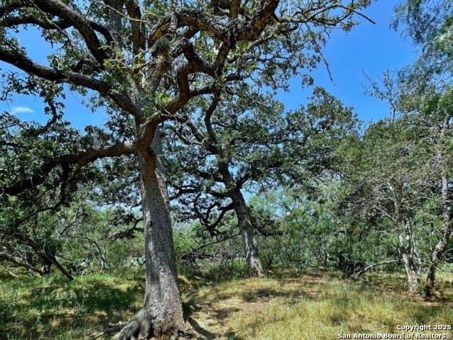 33.76 acres in Gonzales County - photo 9