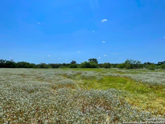 33.76 acres in Gonzales County - photo 10