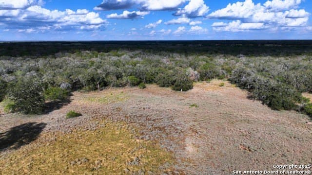 33.76 acres in Gonzales County - photo 29