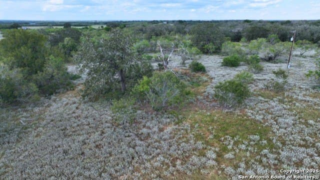 33.76 acres in Gonzales County - photo 18