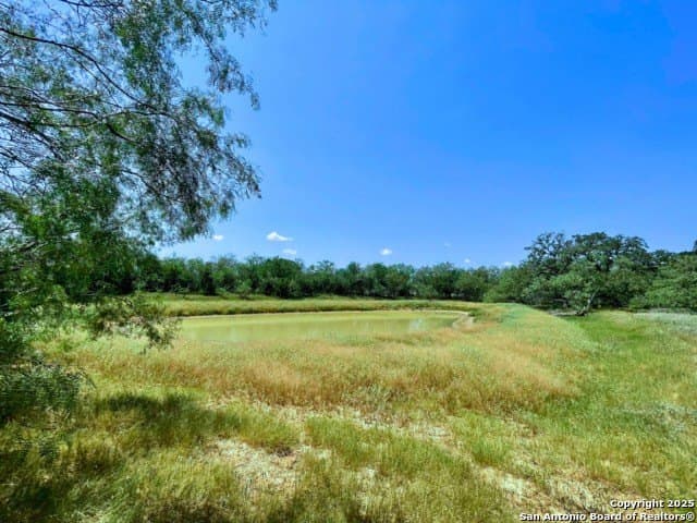 33.76 acres in Gonzales County - photo 6