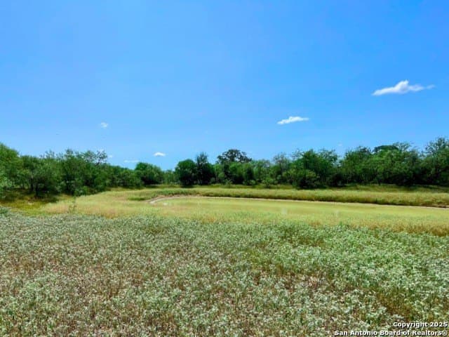 33.76 acres in Gonzales County - photo 7