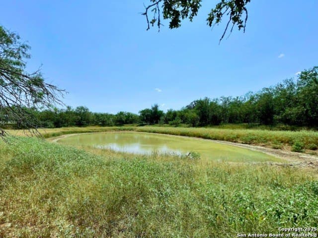 33.76 acres in Gonzales County - photo 3