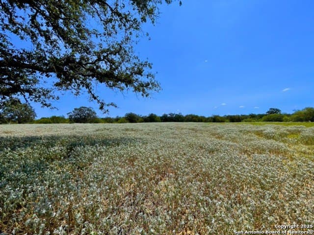 33.76 acres in Gonzales County - photo 8