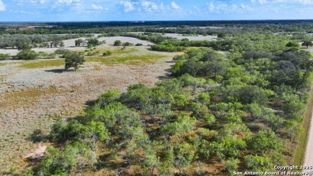 33.76 acres in Gonzales County - photo 43