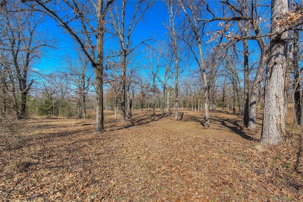11 acres in Van Zandt County - photo 20