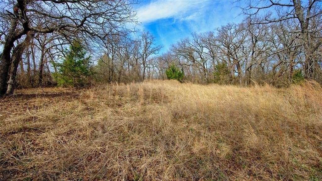2.64 acres in Montague County - photo 17