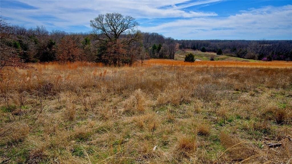 2.64 acres in Montague County - photo 13