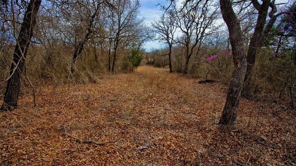 2.64 acres in Montague County - photo 11