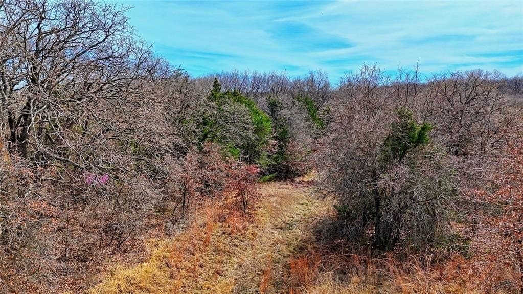 2.64 acres in Montague County - photo 20