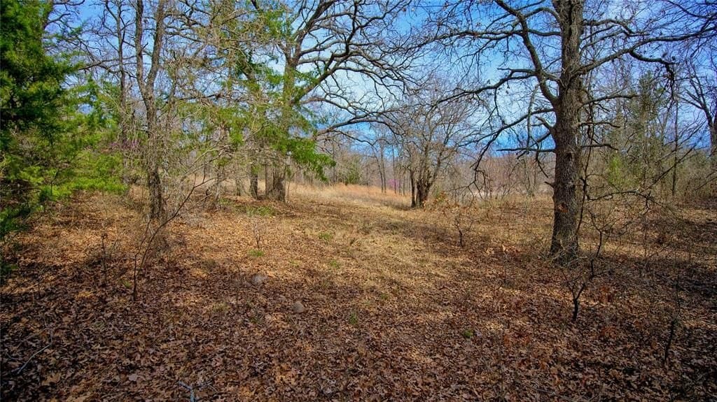 2.64 acres in Montague County - photo 12