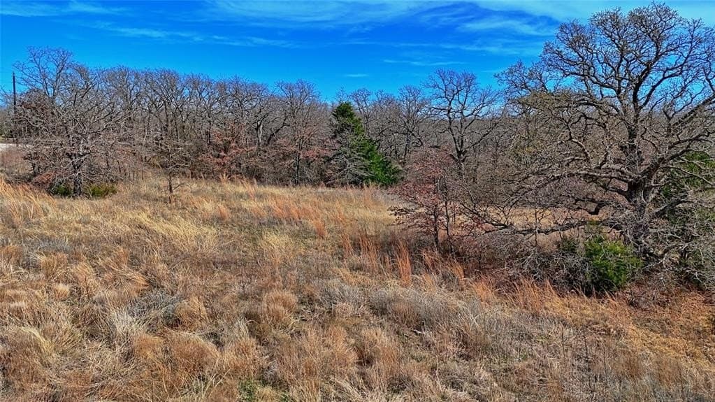2.64 acres in Montague County - photo 23