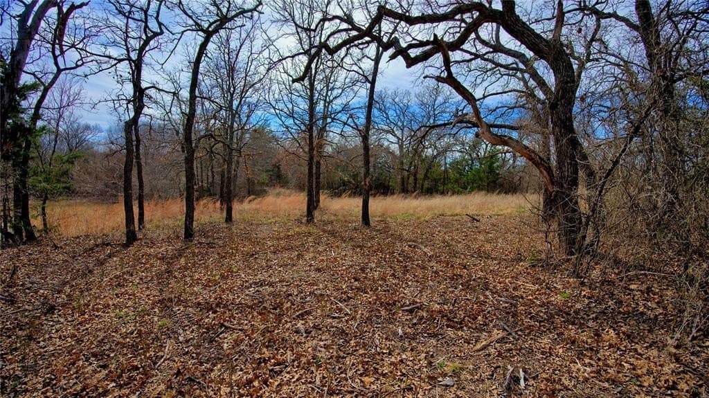 2.64 acres in Montague County - photo 5