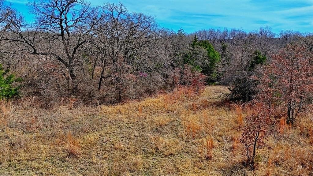 2.64 acres in Montague County - photo 9
