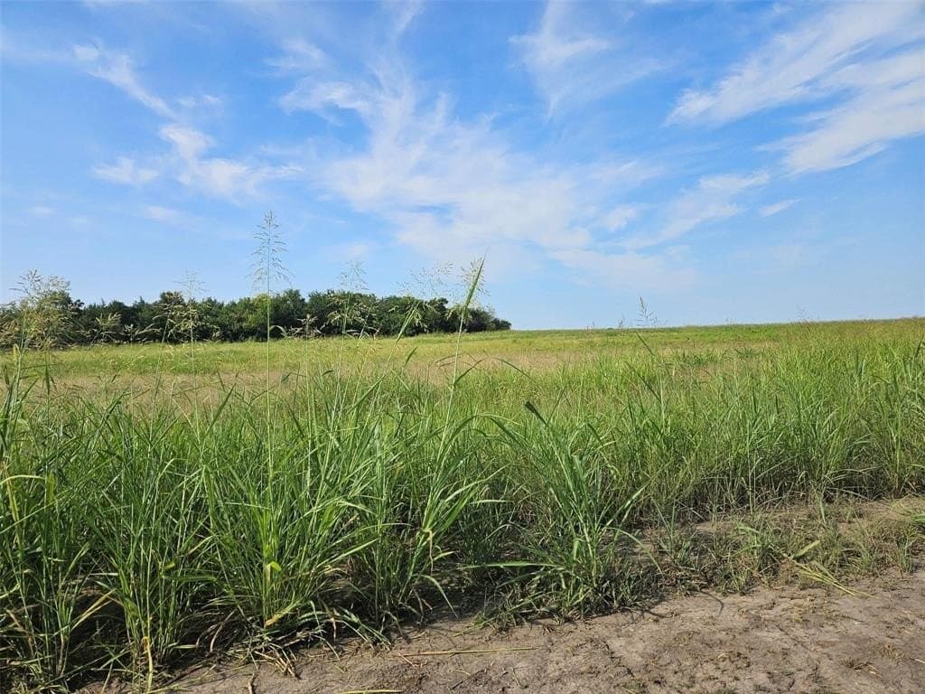 10.1 acres in Lamar County - photo 6