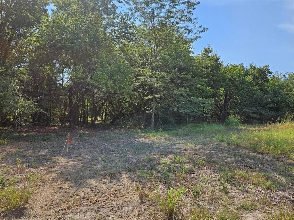 10.1 acres in Lamar County - photo 14