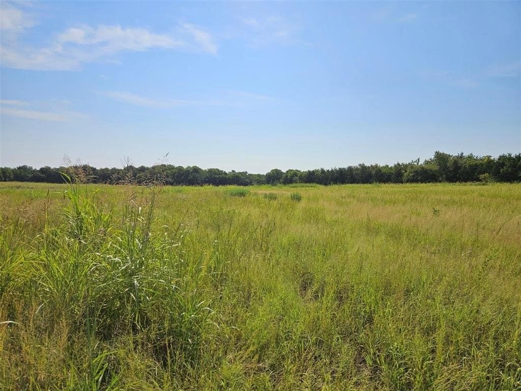 10.1 acres in Lamar County - photo 7