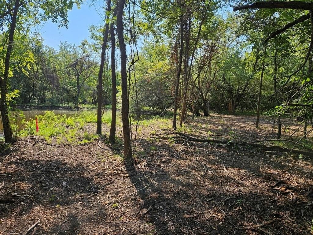 10.1 acres in Lamar County - photo 22