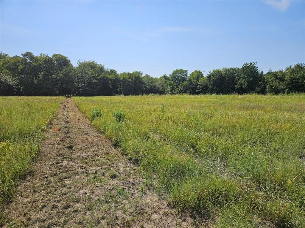 10.1 acres in Lamar County - photo 11
