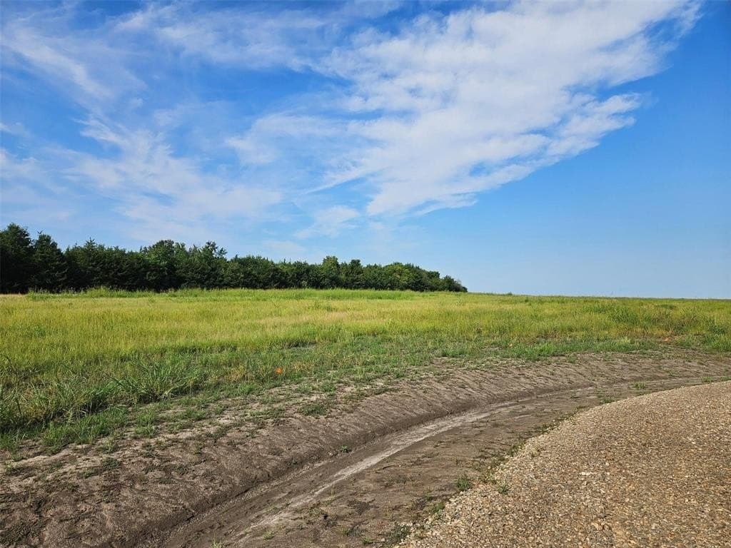10.1 acres in Lamar County - photo 3