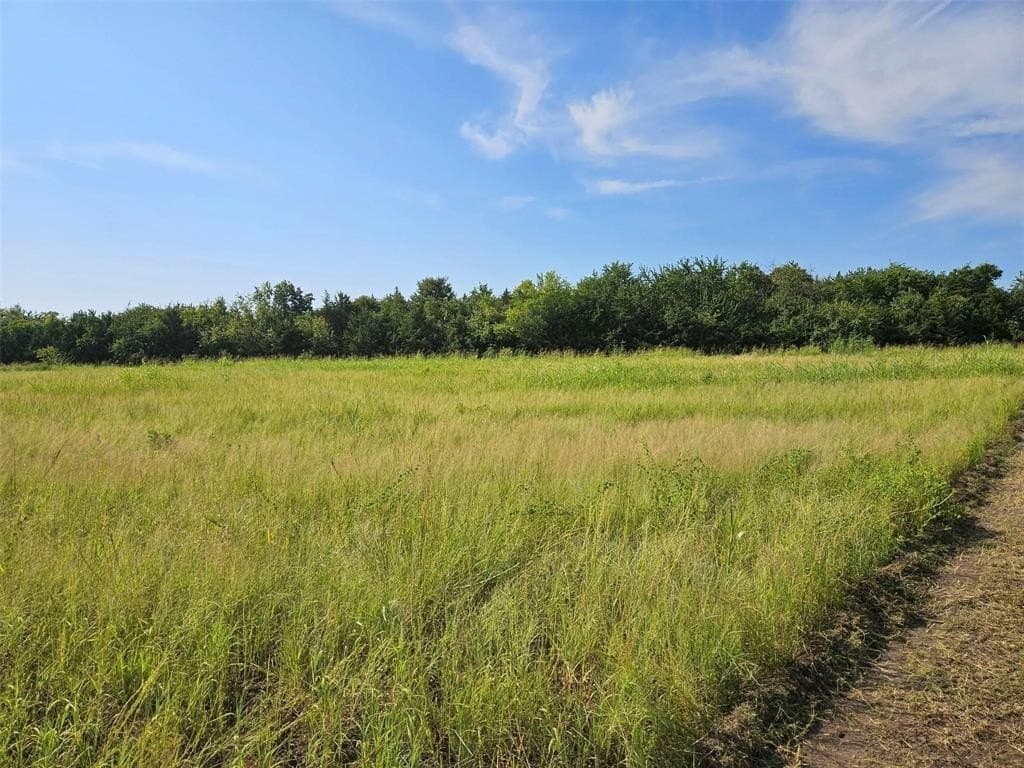10.1 acres in Lamar County - photo 8