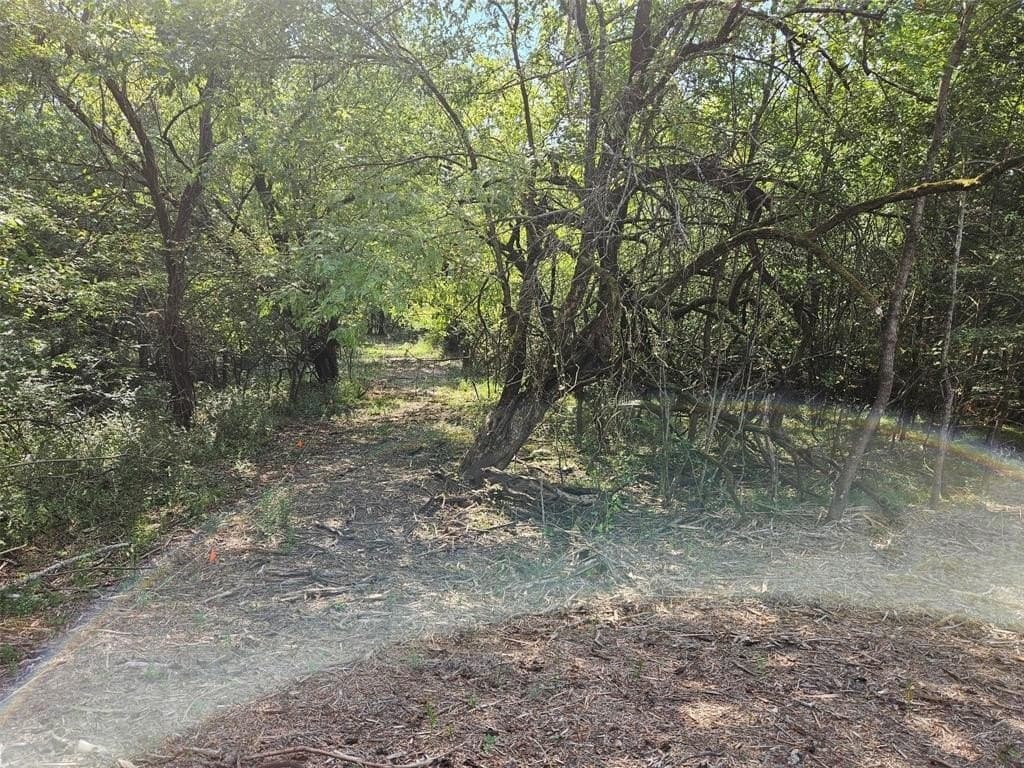 10.1 acres in Lamar County - photo 17