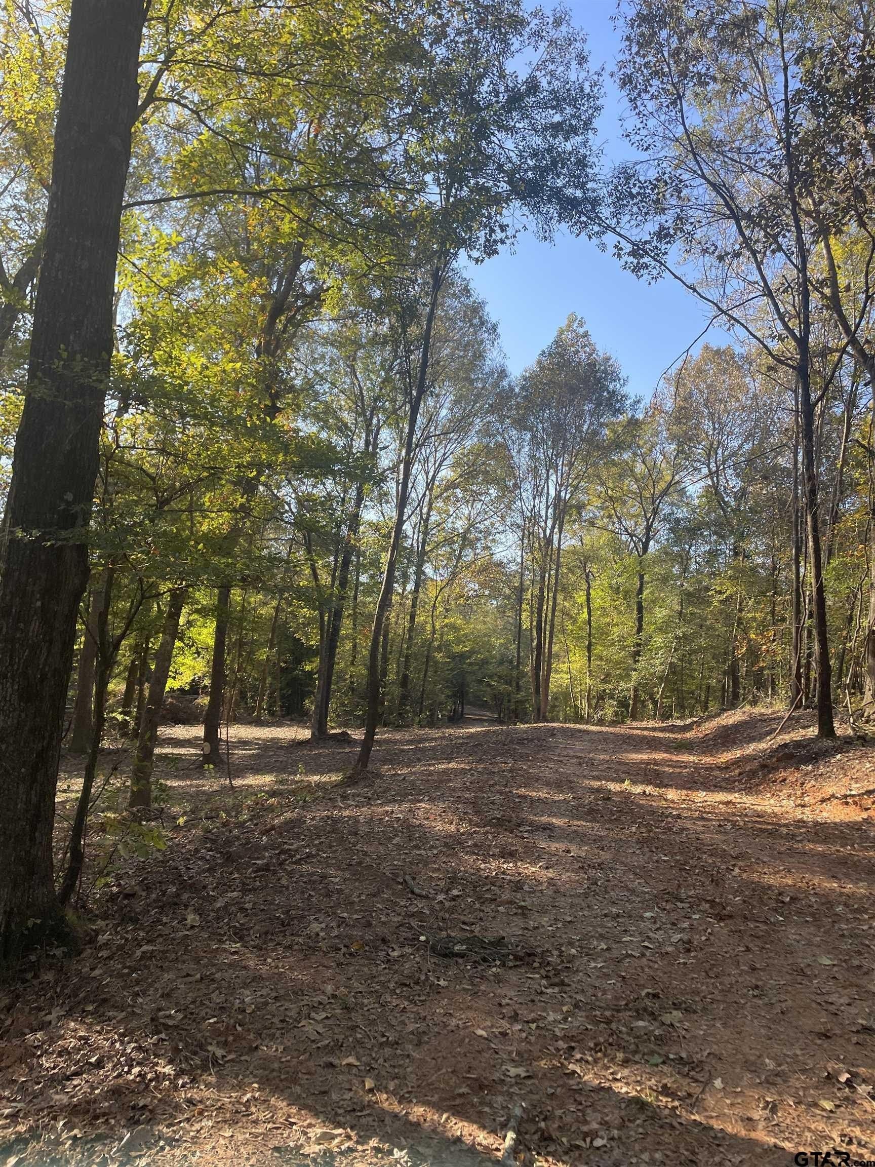 28.13 acres in Upshur County - photo 7