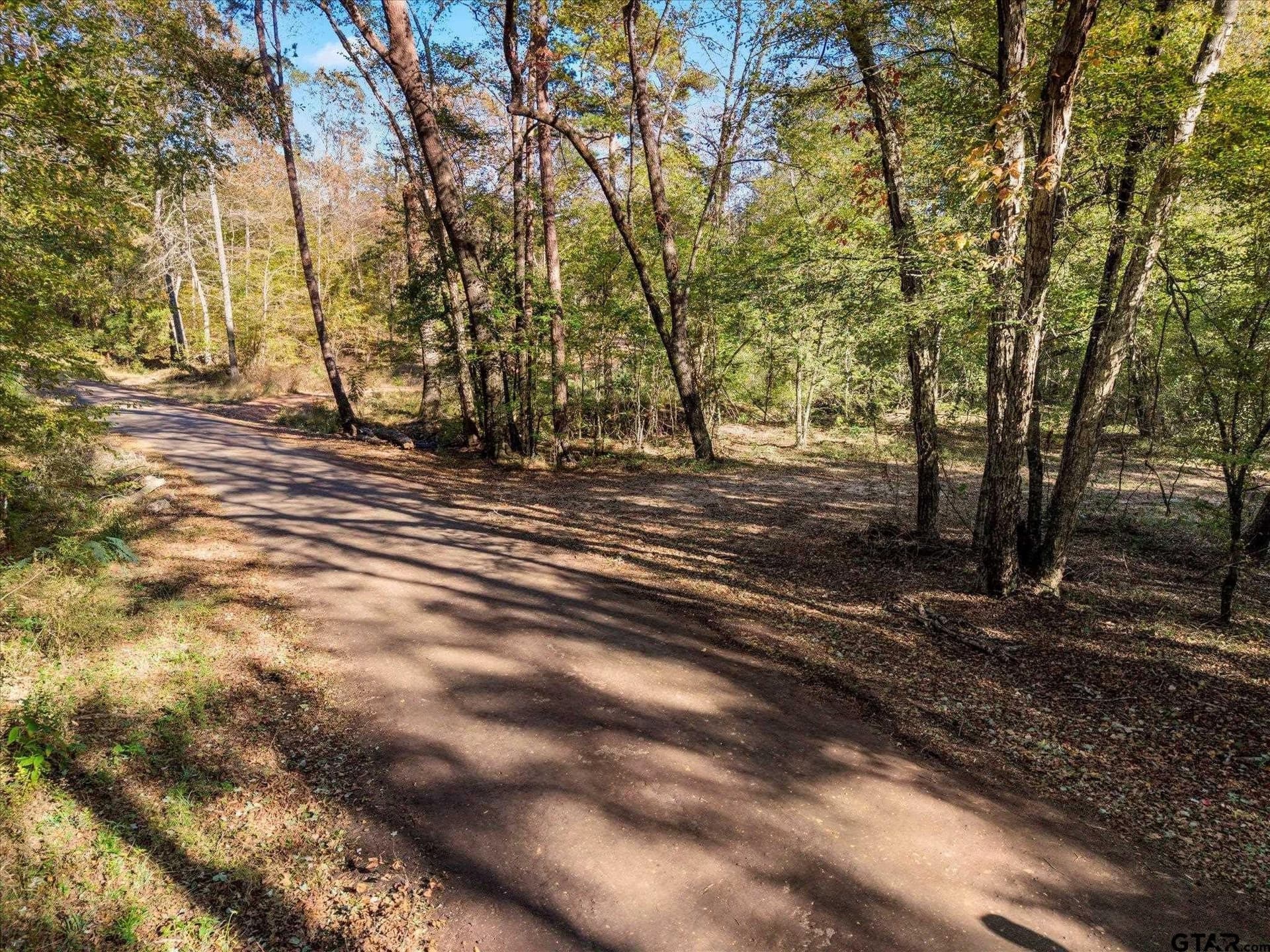 28.13 acres in Upshur County - photo 12