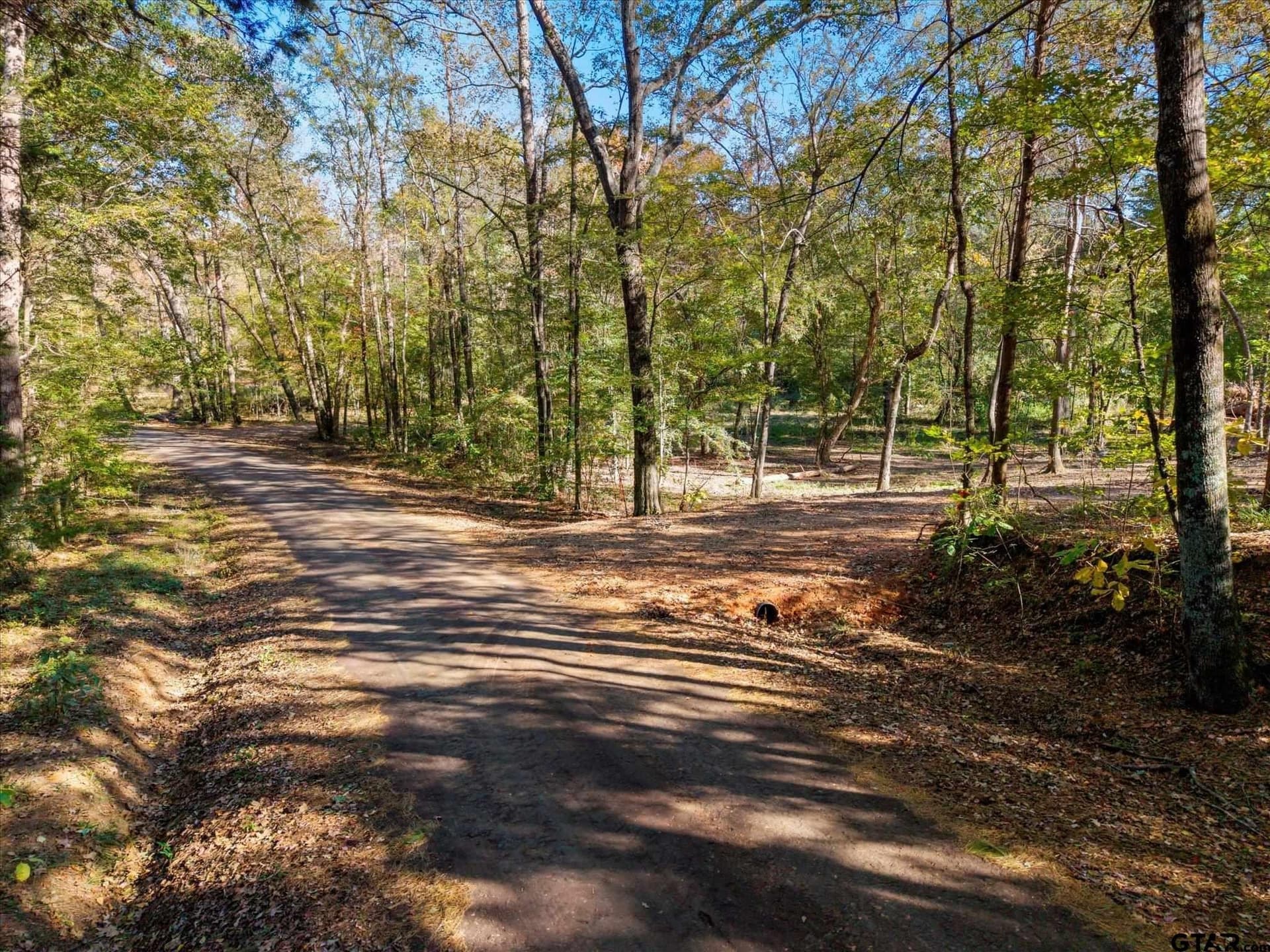 28.13 acres in Upshur County - photo 15