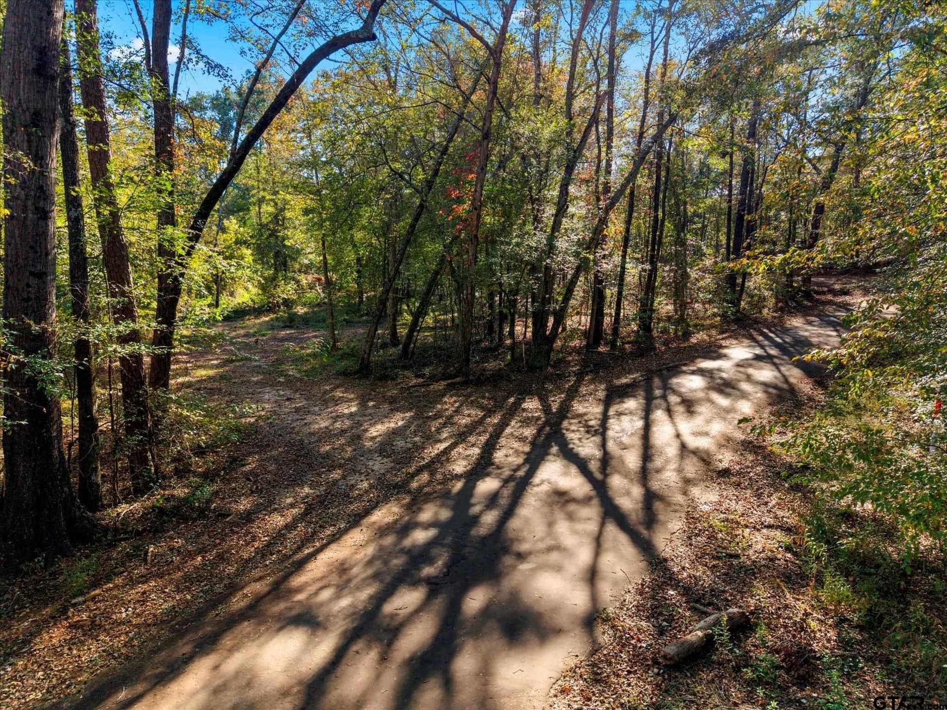 28.13 acres in Upshur County - photo 30