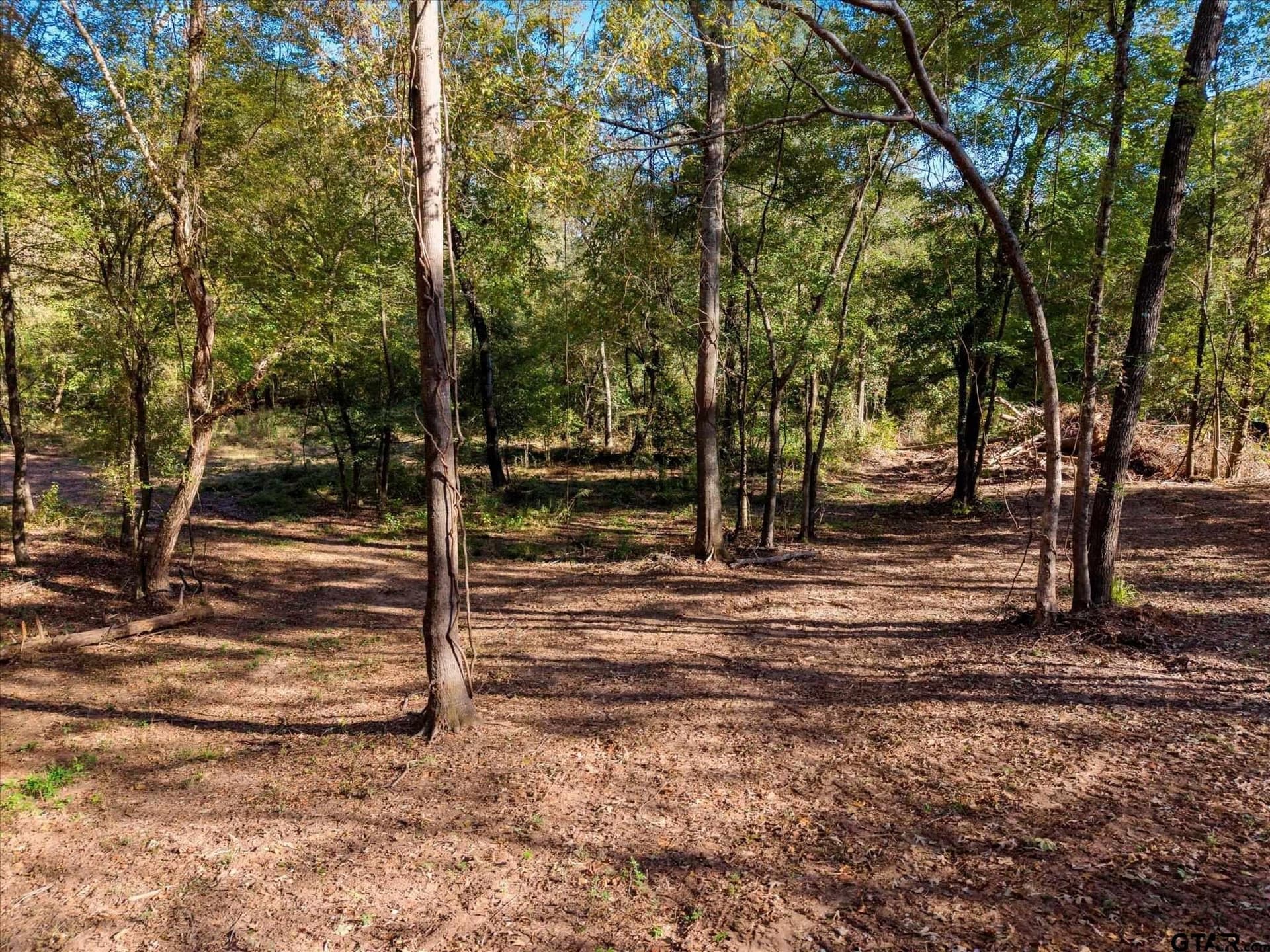 28.13 acres in Upshur County - photo 13