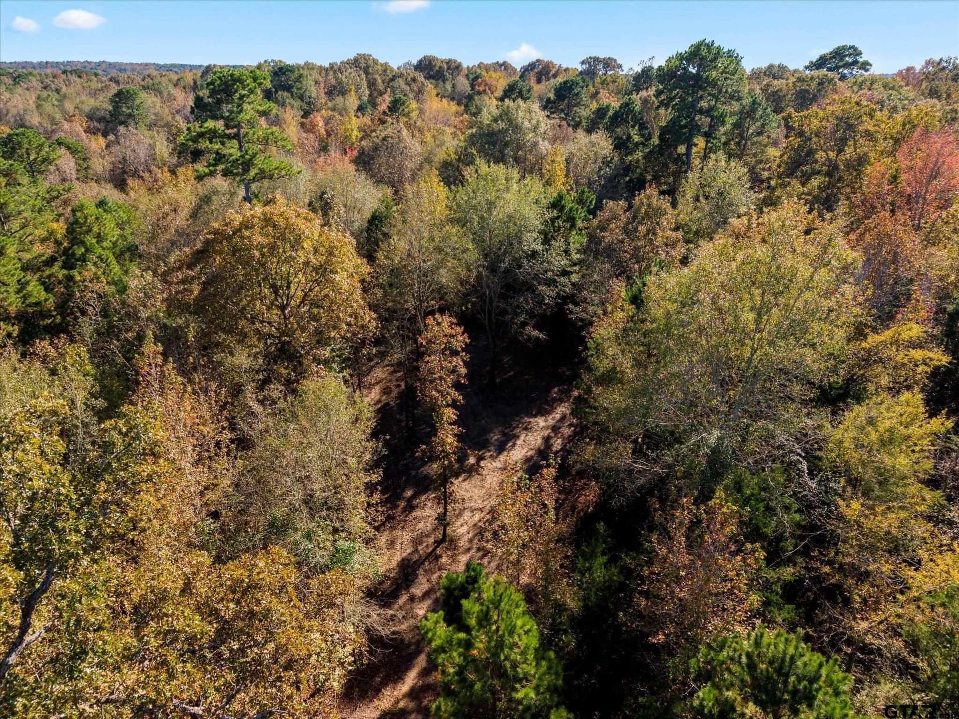 28.13 acres in Upshur County - photo 6