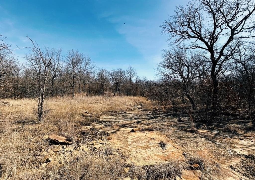 1.01 acres in Wise County - photo 5