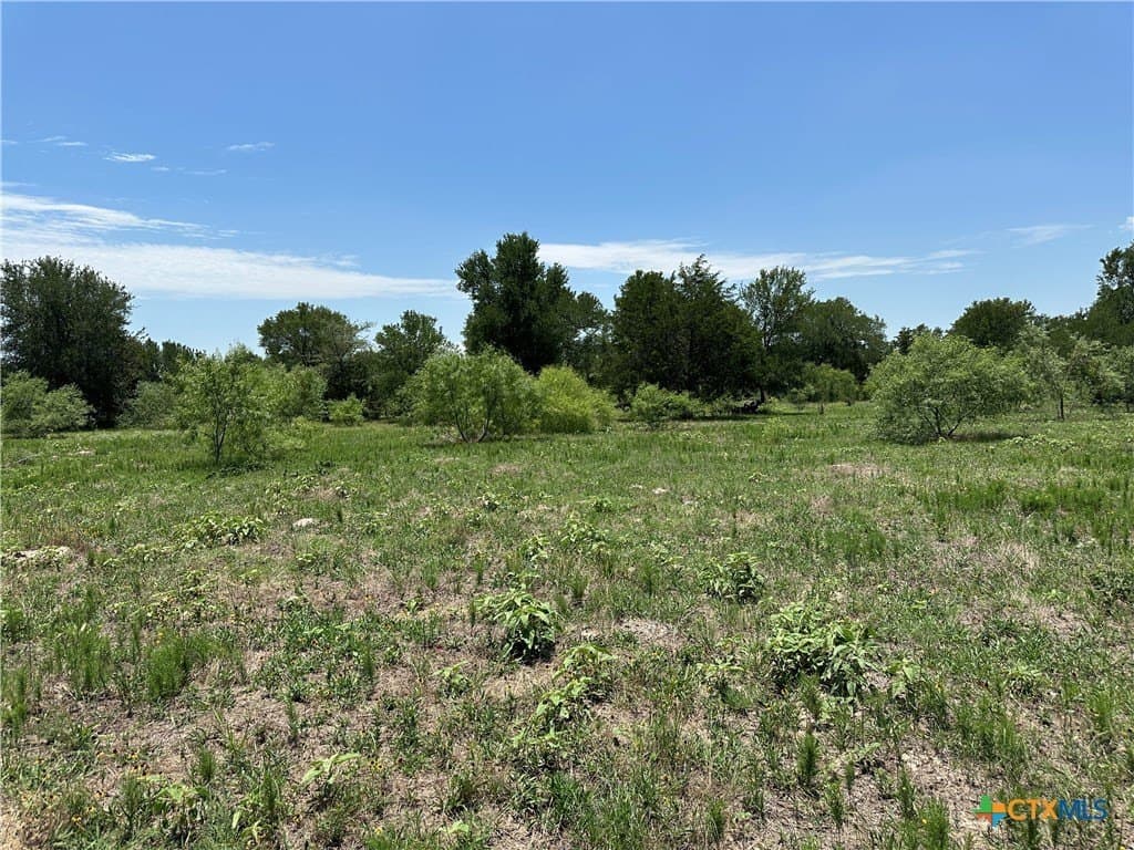 10.1 acres in Bastrop County - photo 11