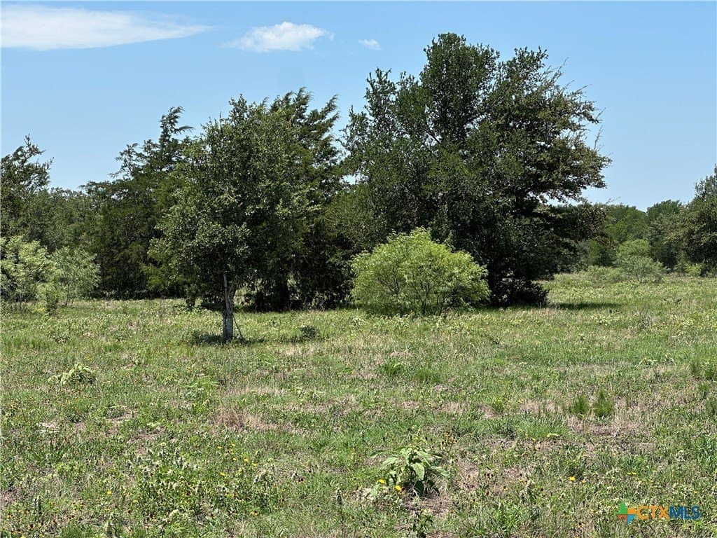 10.1 acres in Bastrop County - photo 5